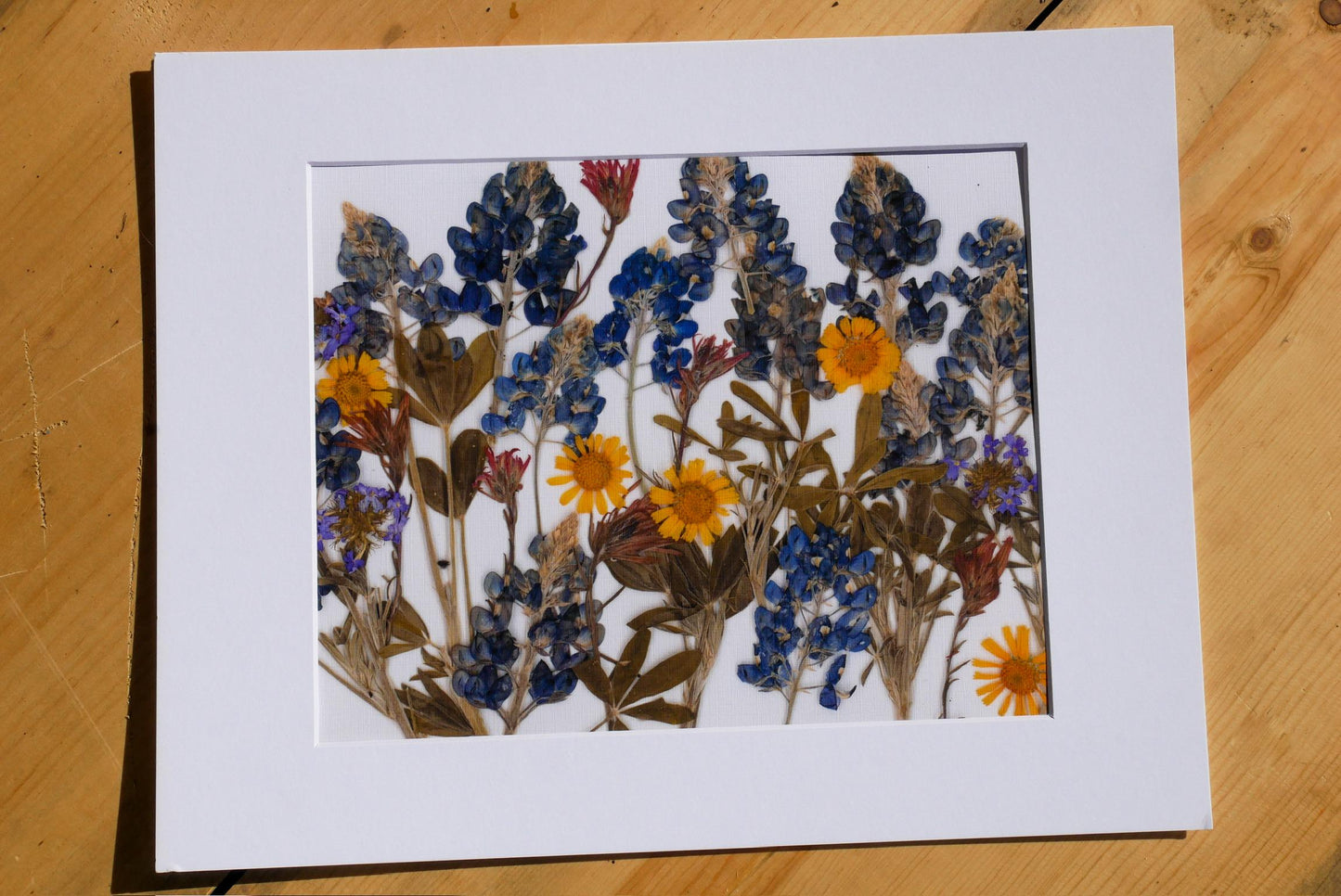 Pressed Bluebonnets Wall Art, Texas Wildflowers (Floral Landscape Print)