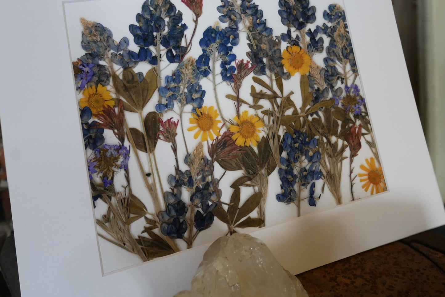 Pressed Bluebonnets Wall Art, Texas Wildflowers (Floral Landscape Print)