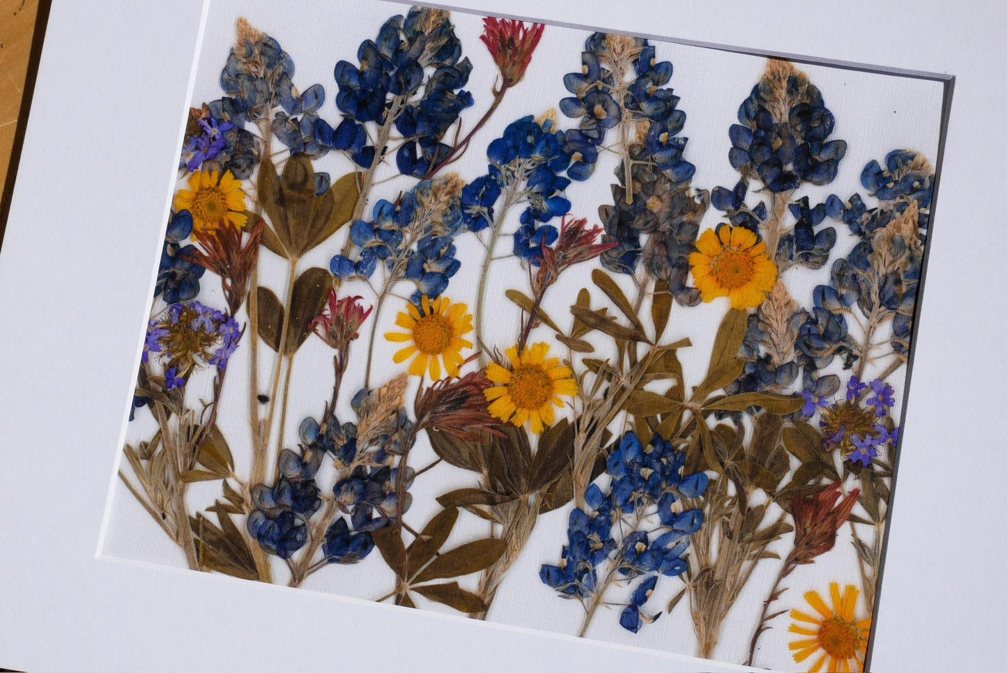 Pressed Bluebonnets Wall Art, Texas Wildflowers (Floral Landscape Print)
