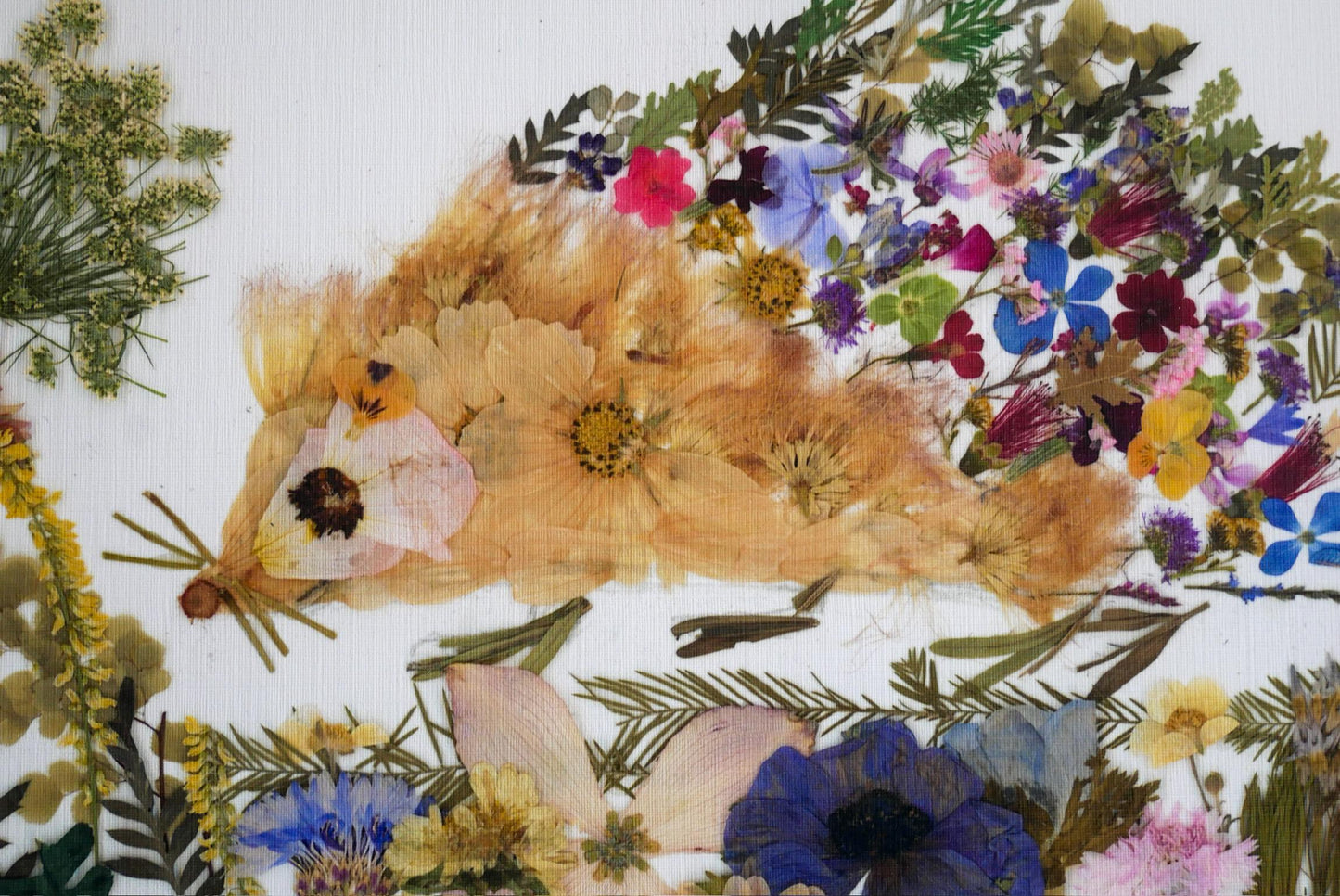 The image is a collage of various flowers and plants, including a hedgehog-shaped arrangement made from dried petals and leaves.