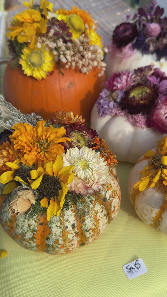 Load and play video in Gallery viewer, Floral Pumpkins
