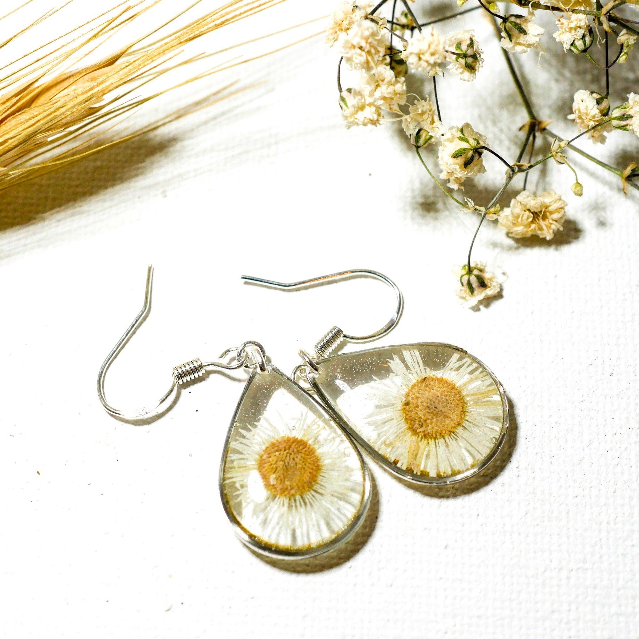 Tiny Real Daisy Teardrop Earrings