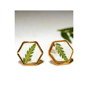 Fern Hexagon earrings studs