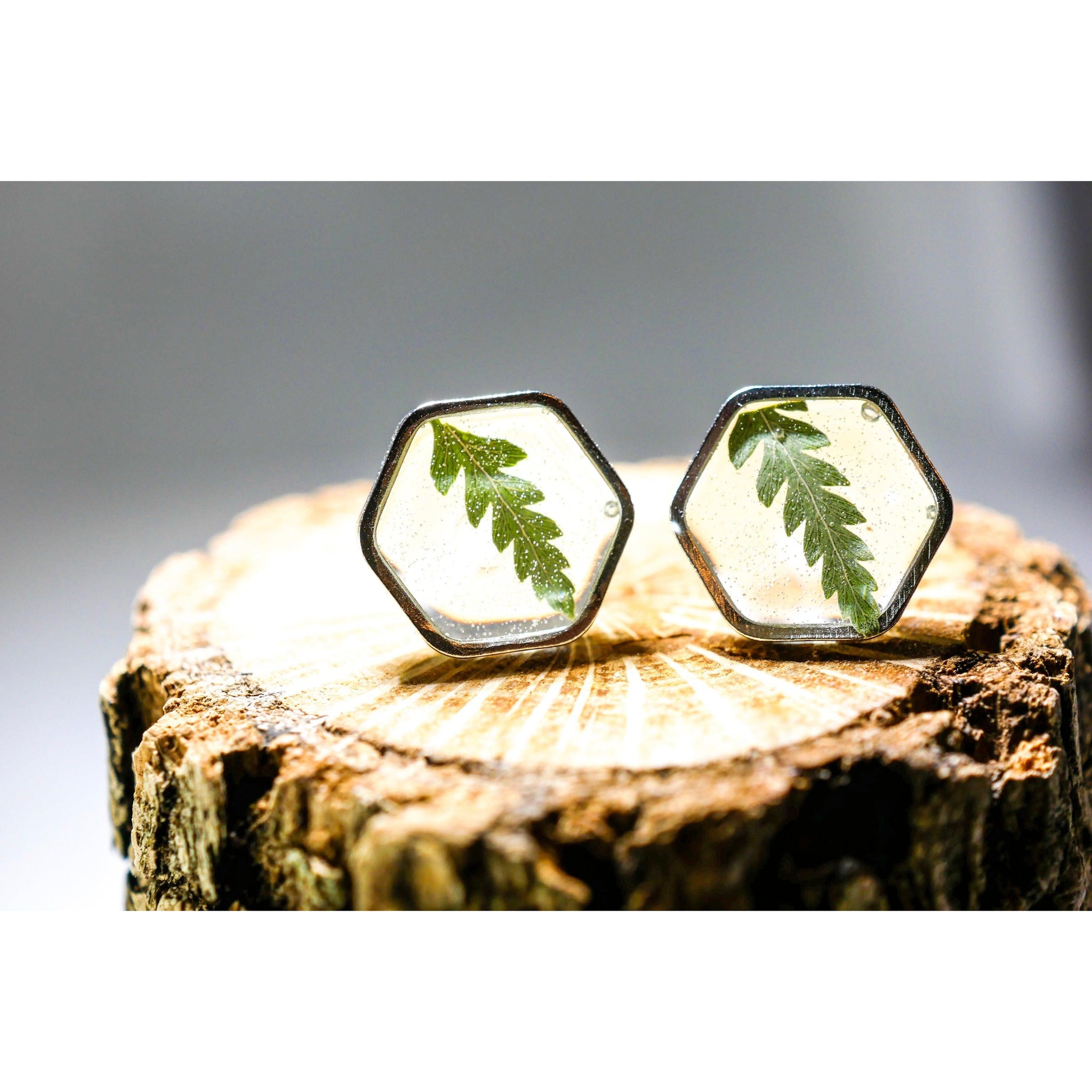 Fern Hexagon earrings studs