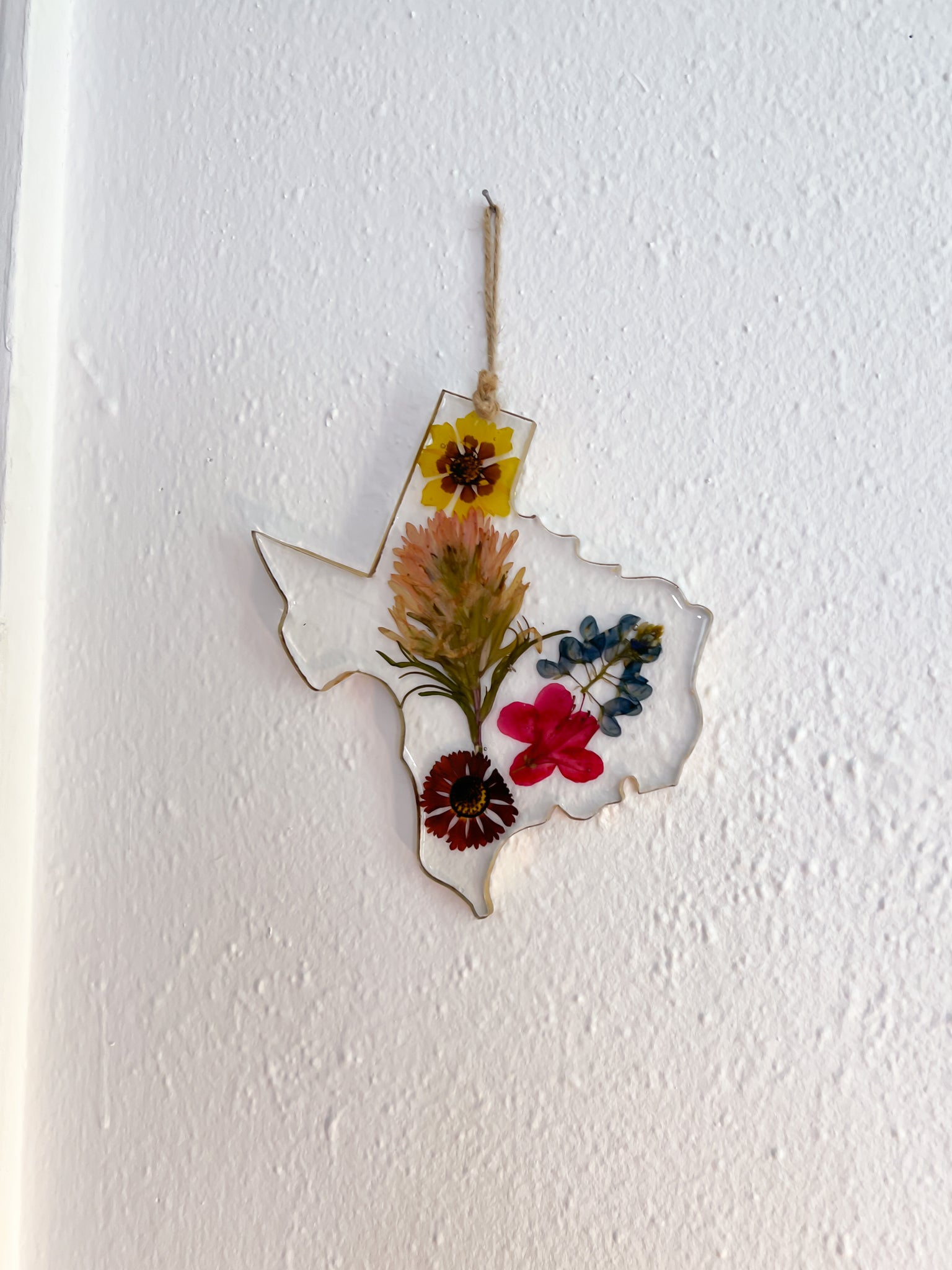 Texas wildflower ornament  wall art