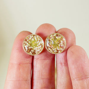 White Queen Anne's Lace flower studs