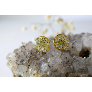 White Queen Anne's Lace flower studs