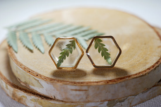 Fern Hexagon earrings studs
