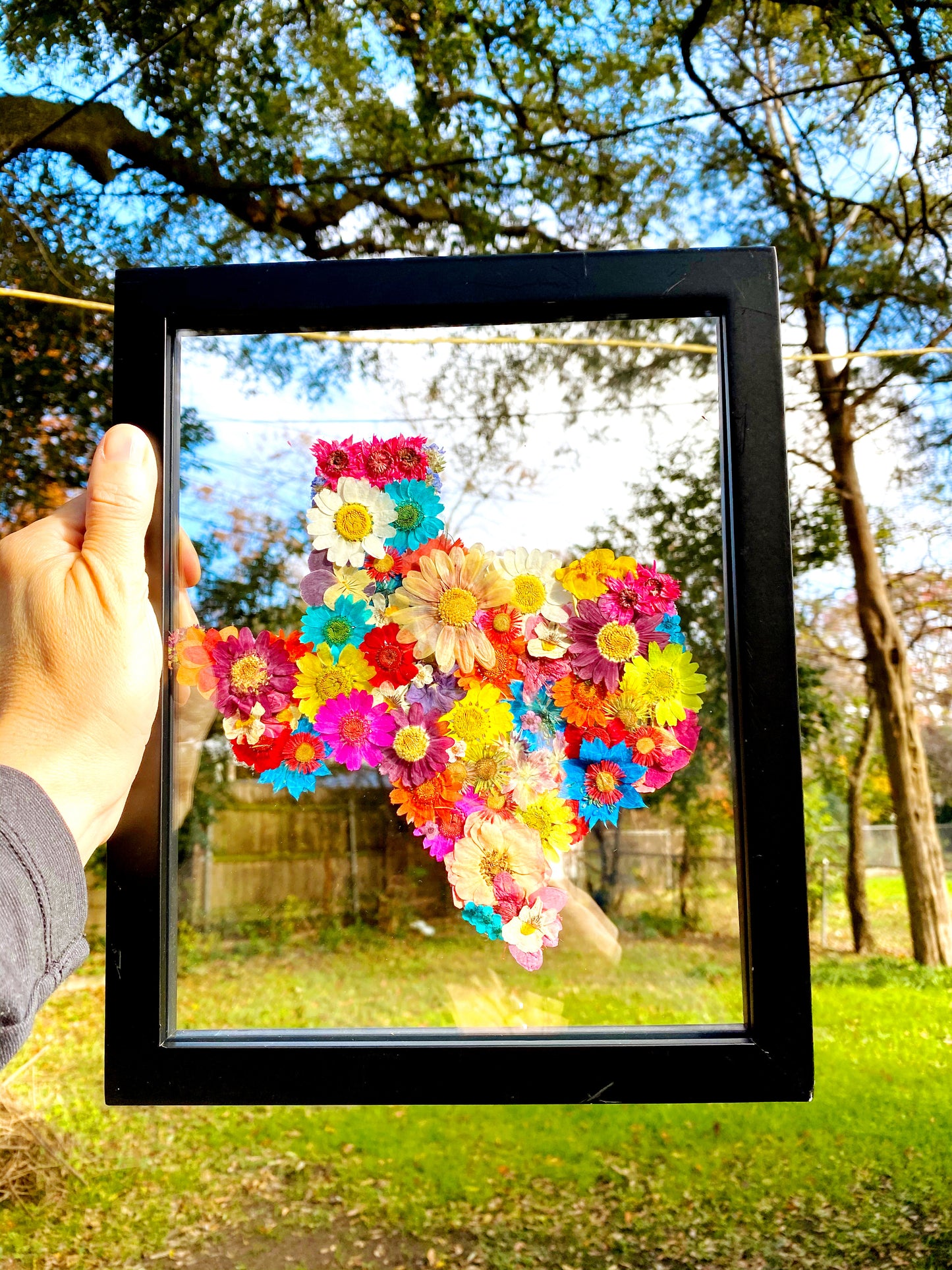 Pressed flower Texas in glass wall art – Remedy Design Shop