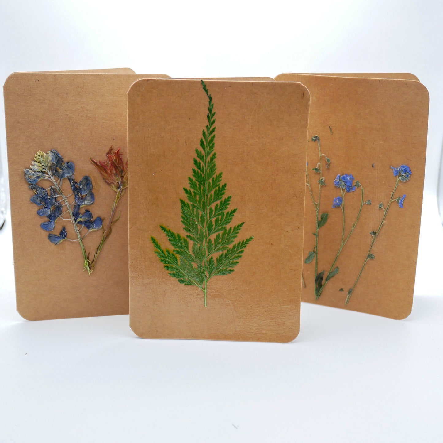 Load image into Gallery viewer, Pack of 3 Pressed Flower Greeting Cards
