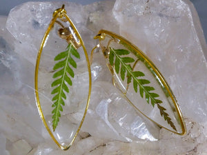 Fern leaf Ellipse earrings