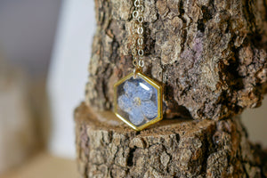 Forget me not tiny hexagon