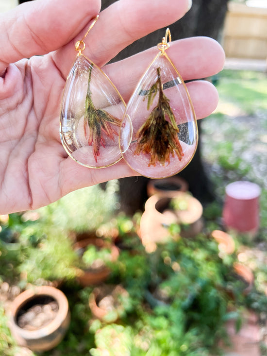 Indian Paintbrush Texas wildflower silver dangle earrings