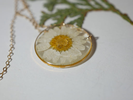 Pressed Daisy Necklace