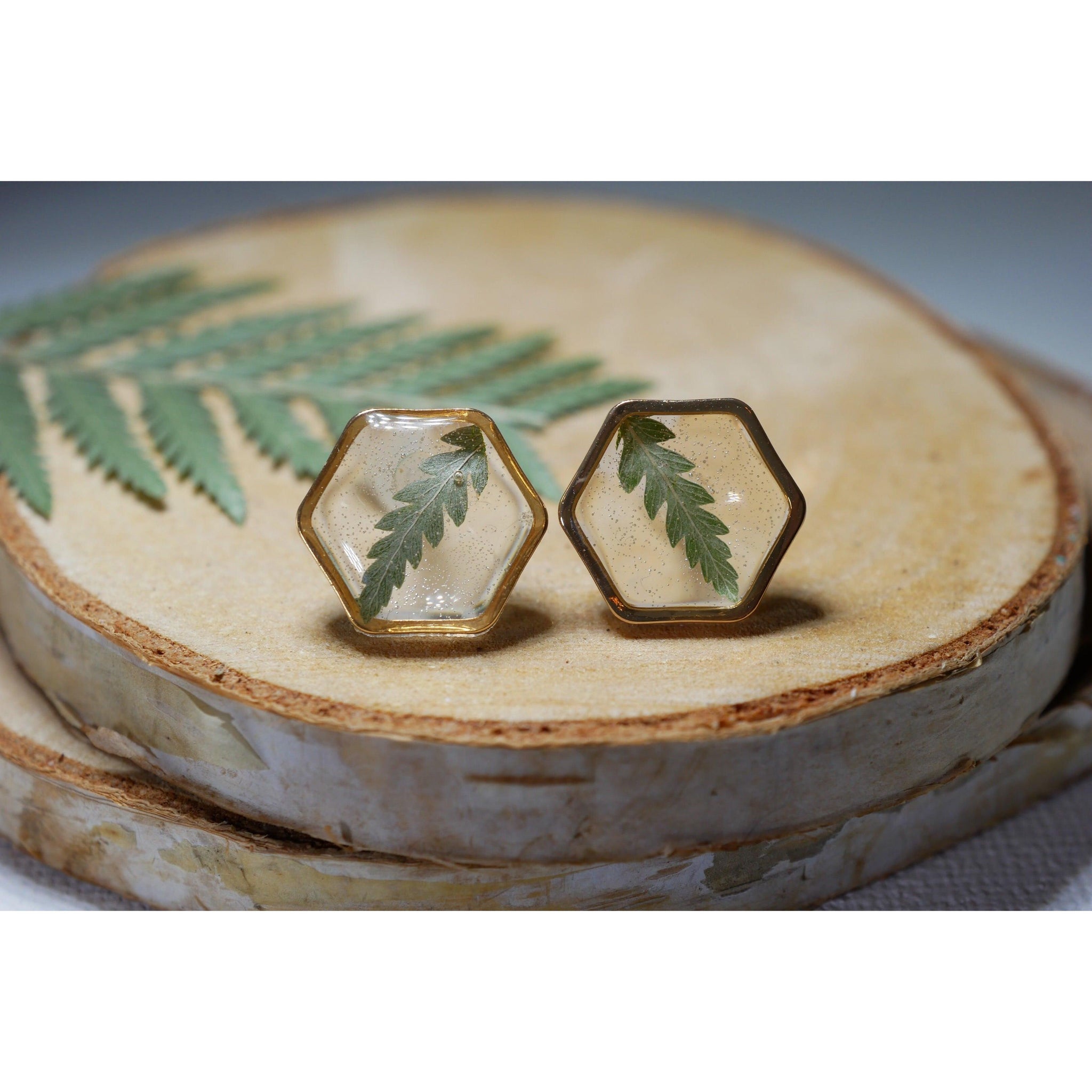 Fern Hexagon earrings studs