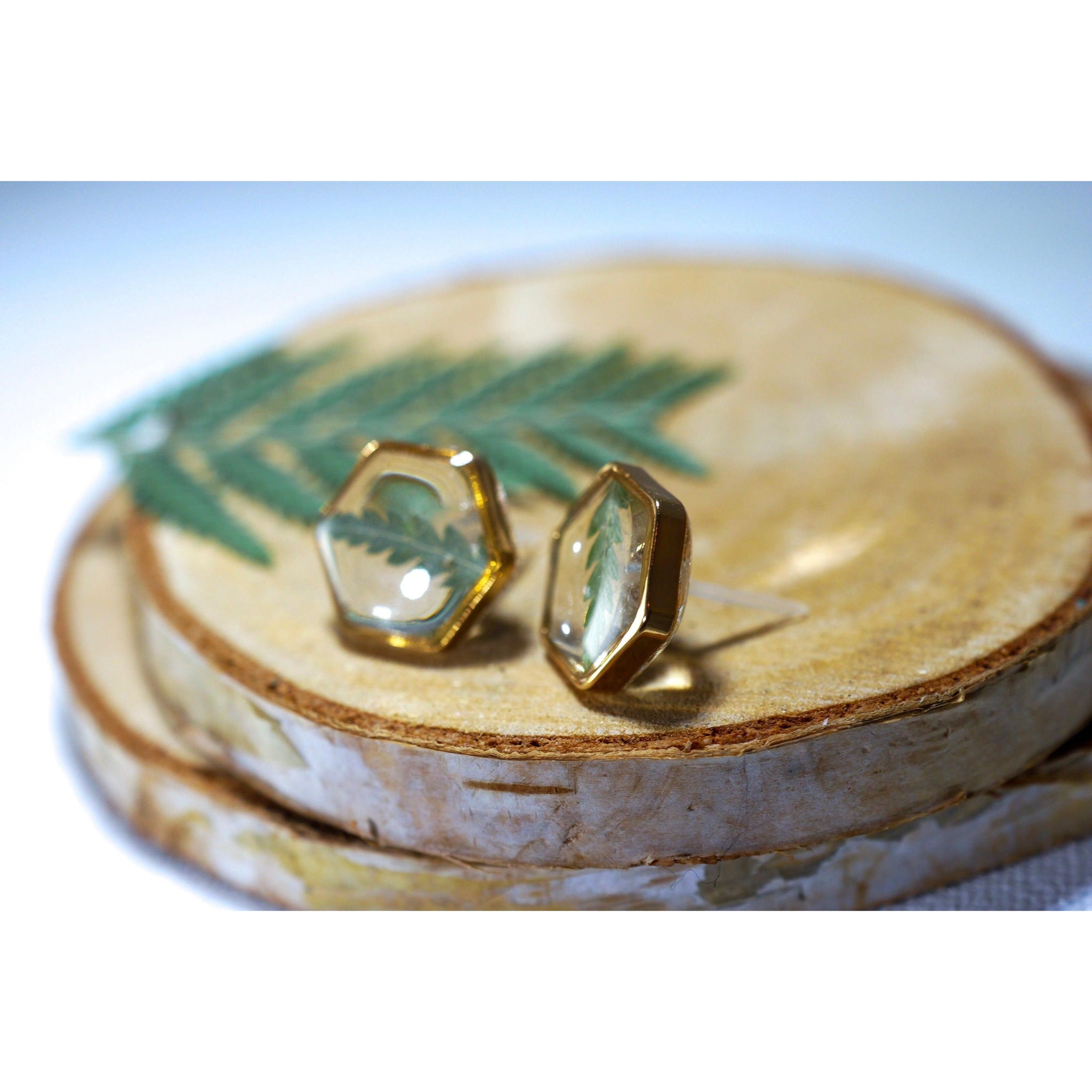 Fern Hexagon earrings studs