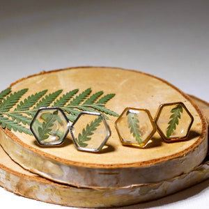 Fern Hexagon earrings studs