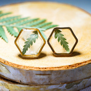 Fern Hexagon earrings studs